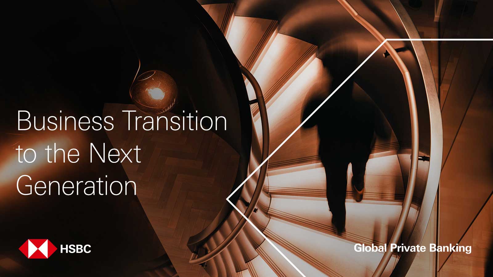 Business Transition to the Next Generation